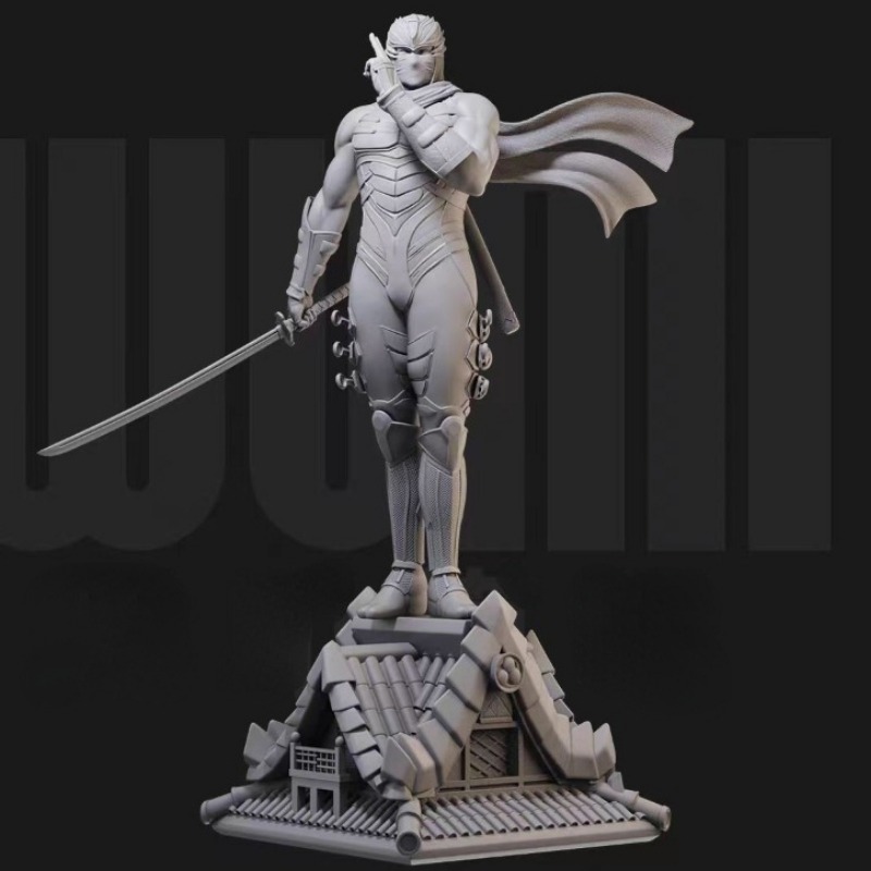 1/24 Miniature Black Robe Ninj - Model Kit Ninja recensione e prezzo