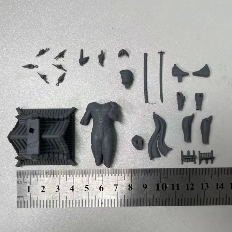 1/24 Miniature Black Robe Ninj - Model Kit Ninja recensione e prezzo