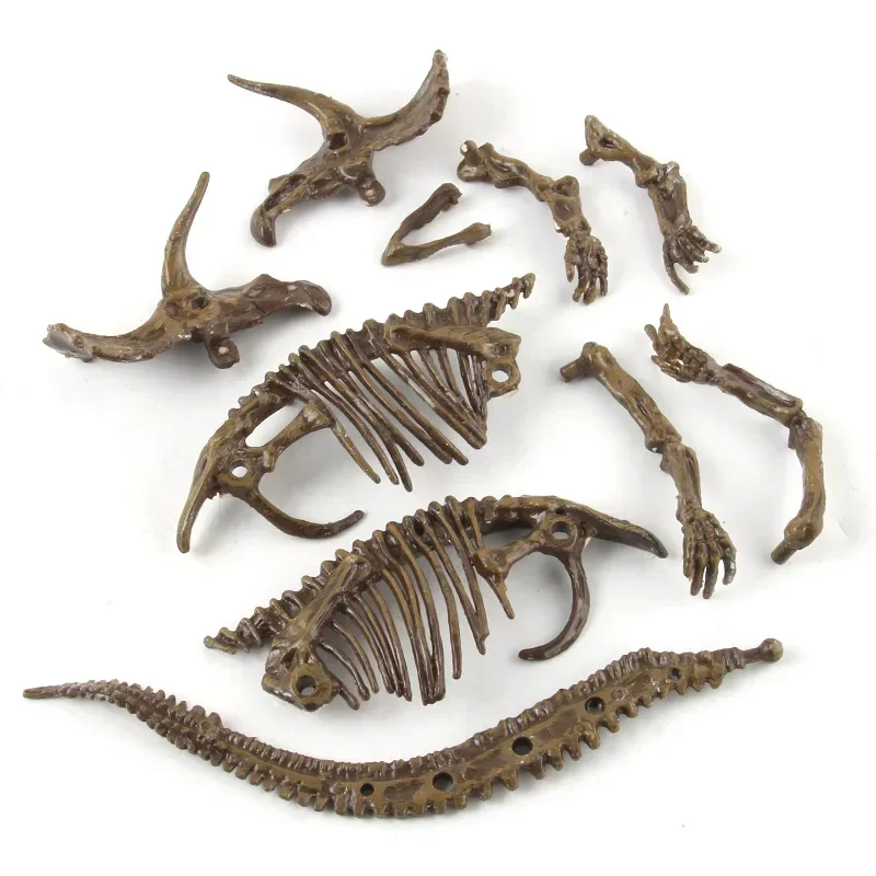 Scavo di dinosauri Archeologia - Model Kit Dinosaur recensione e prezzo