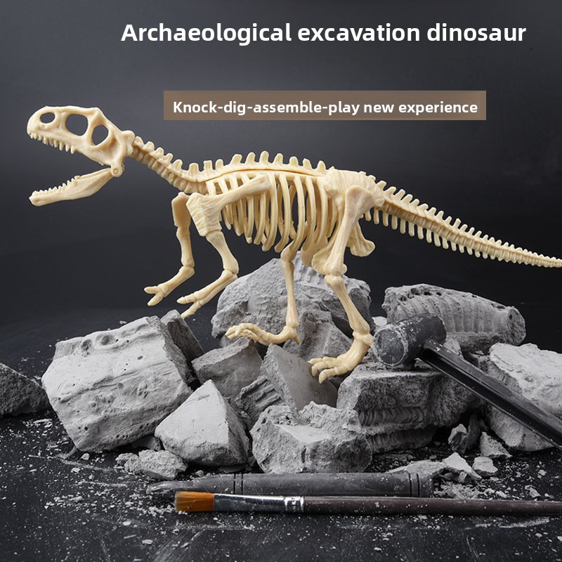 Kit di Scavo di Fossili di Din - Model Kit Dinosaur recensione e prezzo