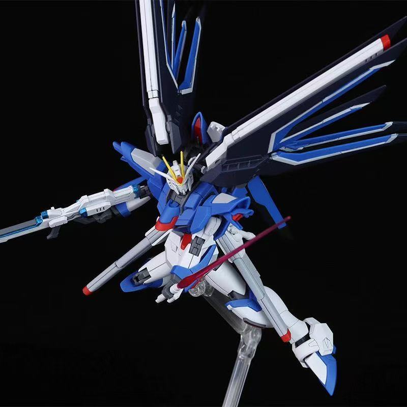 HG STTS-909 Rising Freedom Gun - Model Kit Gundam Wing recensione e prezzo